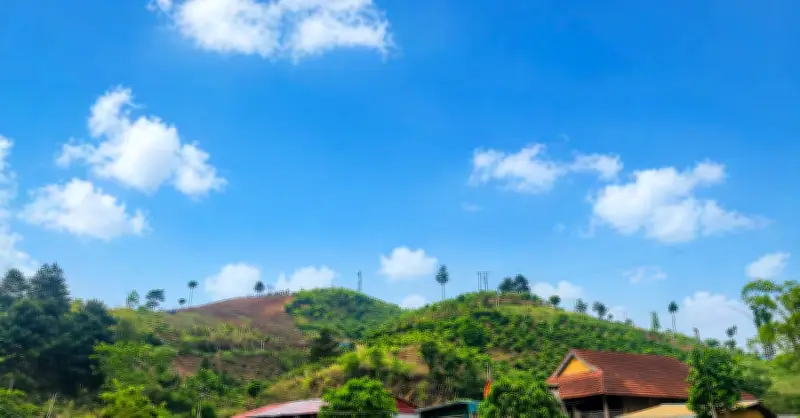 Tuyên Quang: Giảm nghèo thông tin - Chìa khóa thu hẹp khoảng cách tri thức