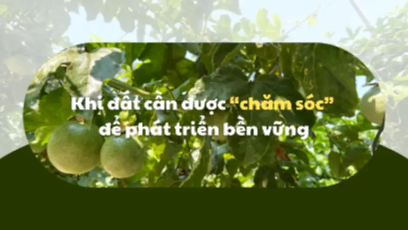 Tây Nguyên đối mặt với ô nhiễm đất canh tác, nông sản khó xuất khẩu
