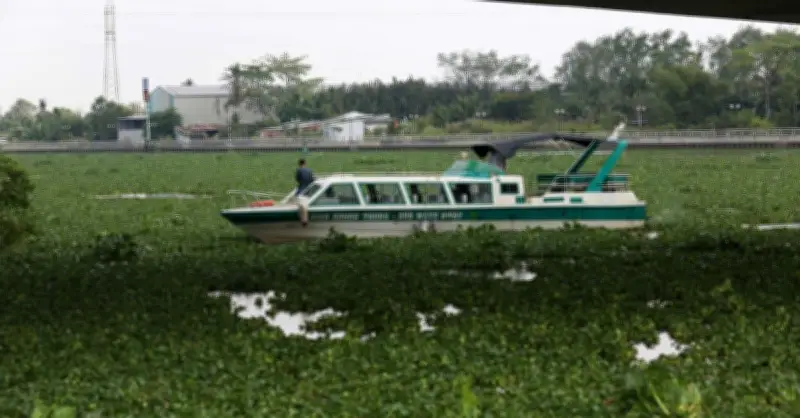 Tây Ninh: Khẩn trương tìm kiếm người đàn ông nhảy cầu Tân An xuống sông Vàm Cỏ Tây