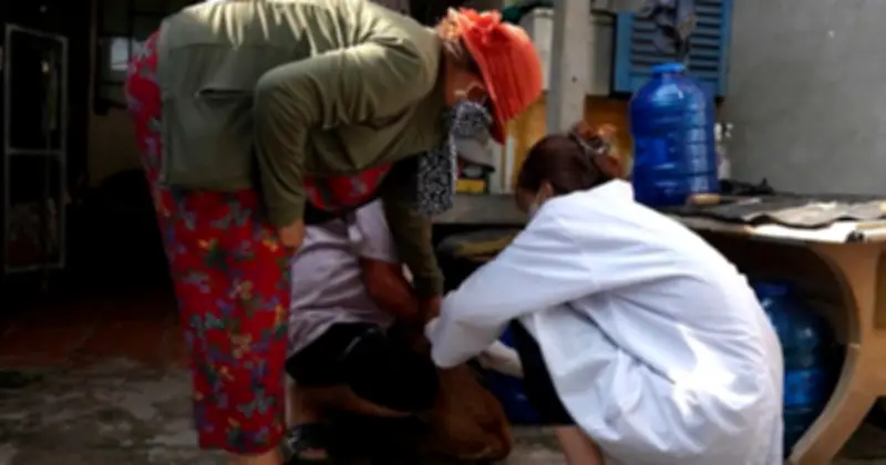 Tây Ninh: Người đàn ông tử vong nghi do bệnh dại sau khi tự chữa vết chó cắn bằng thuốc dân gian