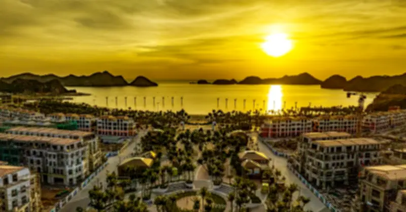 Đầu tư căn hộ nghỉ dưỡng xanh tại Cát Bà: Xu hướng mới của giới đầu tư
