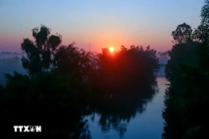 Vẻ Đẹp Thơ Mộng Trong Sương Sớm Ở Miền Quê Sông Nước Cần Thơ