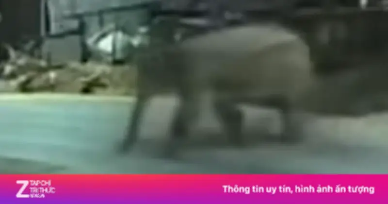 Video ghi lại cảnh vượt rừng, phá rào thép vào trường học ở Sơn La