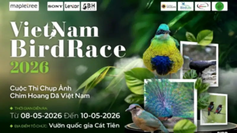 Vietnam BirdRace 2026: Sân chơi săn ảnh chim hoang dã quy mô quốc tế tại Cát Tiên