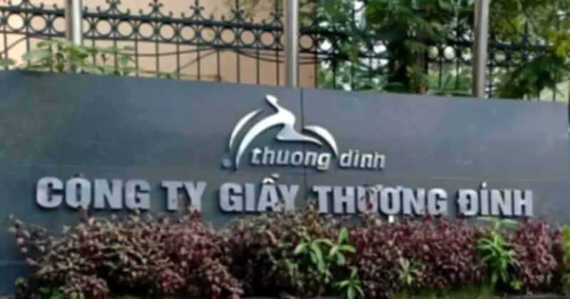 Vinaconex Mua 24% Cổ Phần Giầy Thượng Đình, Cơ Cấu Đầu Tư Biến Động