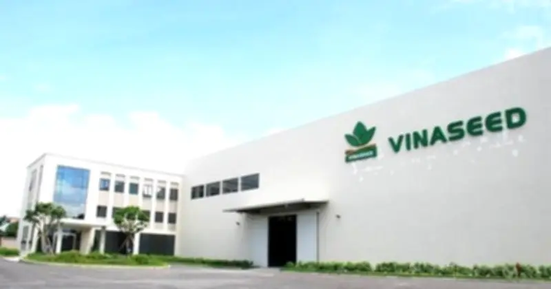 Vinaseed Đổi Mới Quản Trị, GS. Trần Đình Long Đề Xuất Phát Triển Cây Họ Đậu