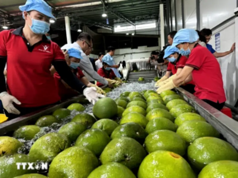 Việt Nam ký Nghị định thư xuất khẩu bưởi, chanh sang Trung Quốc