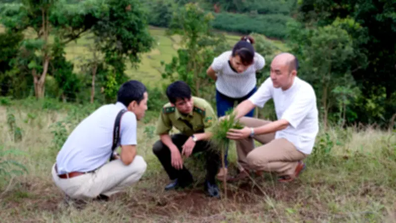 Việt Nam Nhận 72 Triệu USD Từ Quỹ Khí Hậu Xanh Cho Dự Án Giảm Phát Thải Rừng