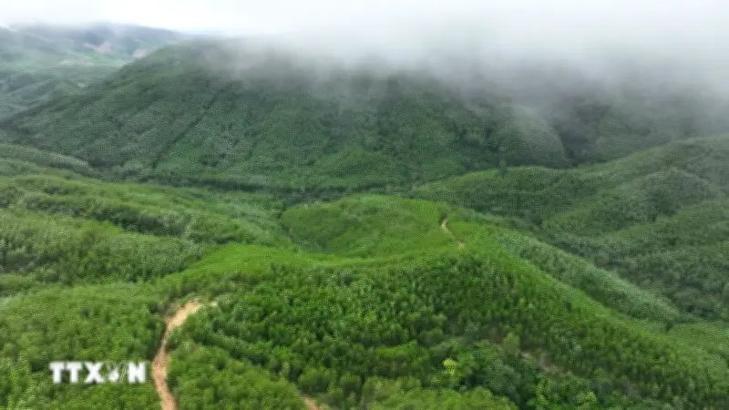 Việt Nam Nhận Gần 72 Triệu USD Hỗ Trợ Tài Chính Xanh Từ Nhật Bản