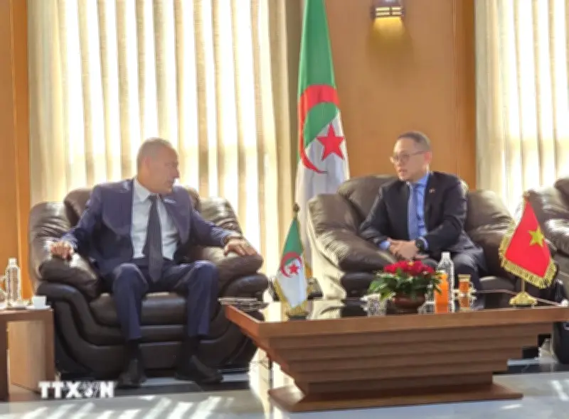 Việt Nam thúc đẩy hợp tác đa lĩnh vực với địa phương Algeria