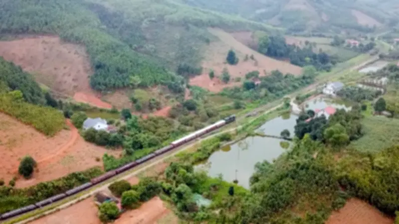 Việt Nam Tăng Cường Hợp Tác Quốc Tế Để Đạt Mục Tiêu Net Zero