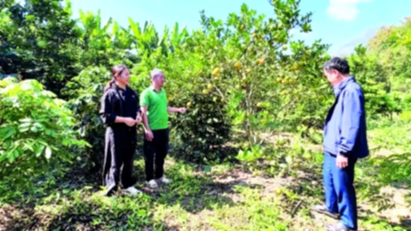 Vốn chính sách thay đổi diện mạo nông thôn vùng cao Điện Biên