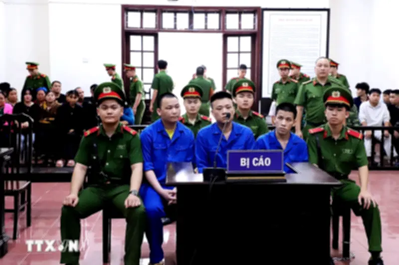 Vận chuyển hơn 74kg ma túy, ba bị cáo lĩnh án tử hình