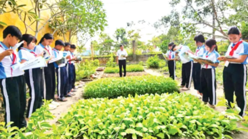 Văn Hóa Đọc Lan Tỏa Ở Nông Thôn Cần Thơ: Từ Trường Học Đến Cộng Đồng