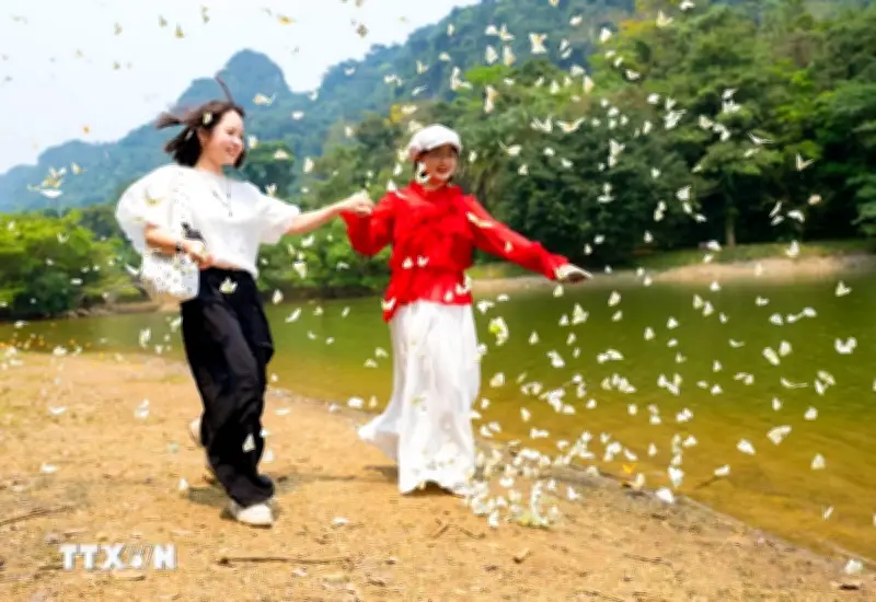 Vườn Quốc Gia Cúc Phương Rộn Ràng Đón Mùa Bướm Đến Sớm