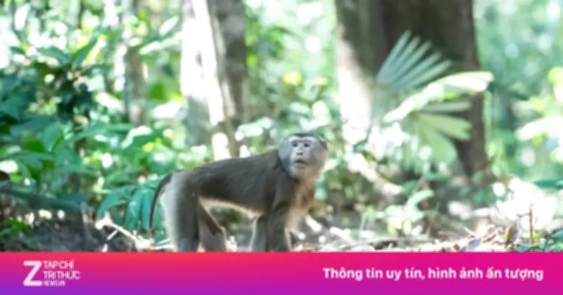 Vườn Quốc gia Chư Mom Ray: Nơi hội tụ động thực vật quý hiếm trong Sách Đỏ