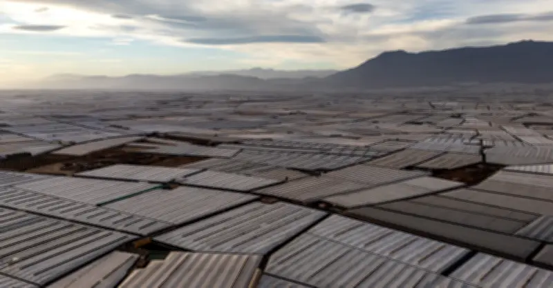 Vườn rau khổng lồ 3,5 triệu tấn ở Việt Nam có thể nhìn thấy từ không gian