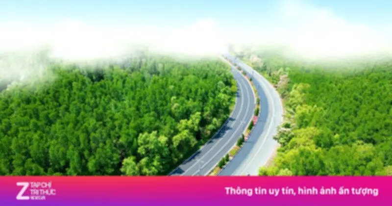 VnExpress Marathon Cần Giờ: Hành Trình Xuyên Rừng Ngập Mặn, Chạm Biển Bình Minh