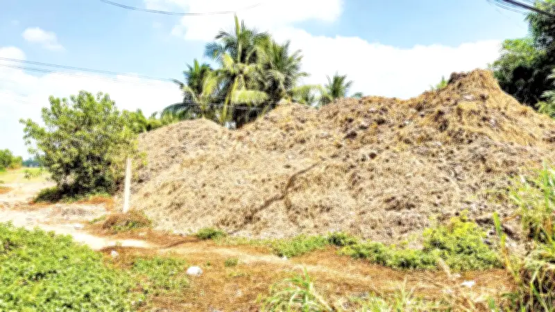 Vĩnh Long: Báo động tình trạng bóc tách đất mặt ruộng, đe dọa an ninh lương thực