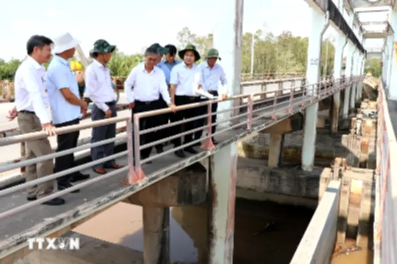 Vĩnh Long Khẩn Trương Xử Lý Sạt Lở Tại Cống Vĩnh Kim, Đảm Bảo An Toàn Dân Cư
