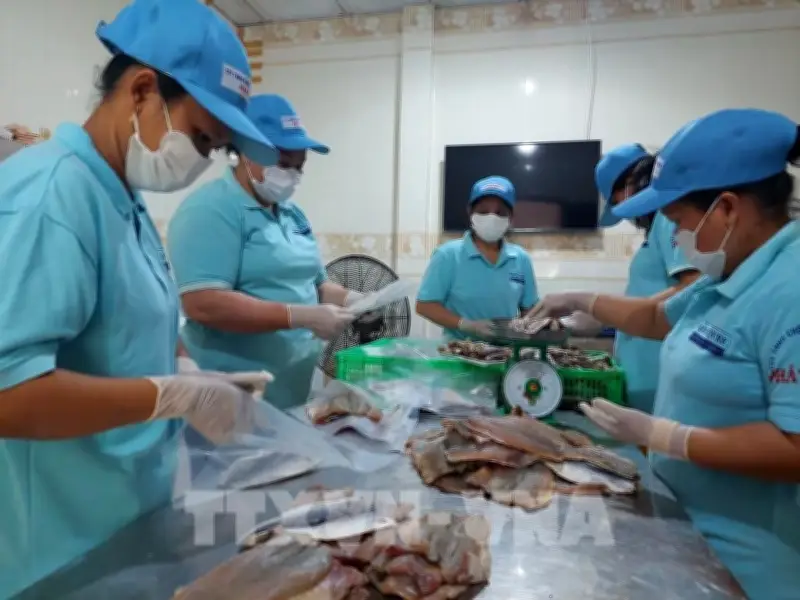 Vĩnh Long triển khai đồng bộ giải pháp quản lý thu ngân sách, hướng tới mục tiêu 22.579 tỷ đồng năm 2026