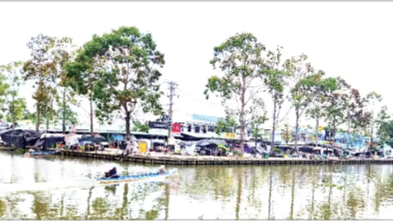 Vĩnh Viễn chuyển mình từ vùng căn cứ cách mạng thành quê hương trù phú