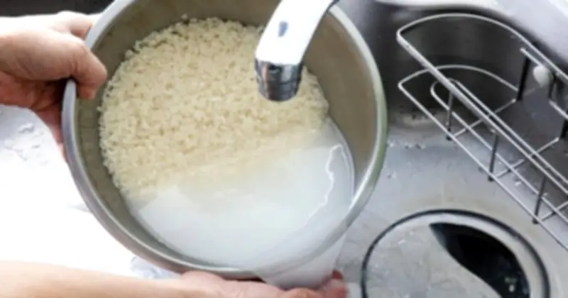 Vo gạo trước khi nấu: Thói quen nhỏ, lợi ích lớn chống ung thư và vi nhựa