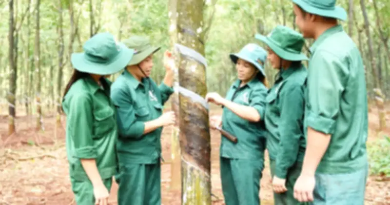 VRG: Từ nền tảng cao su vững chắc đến khát vọng vươn tầm quốc tế