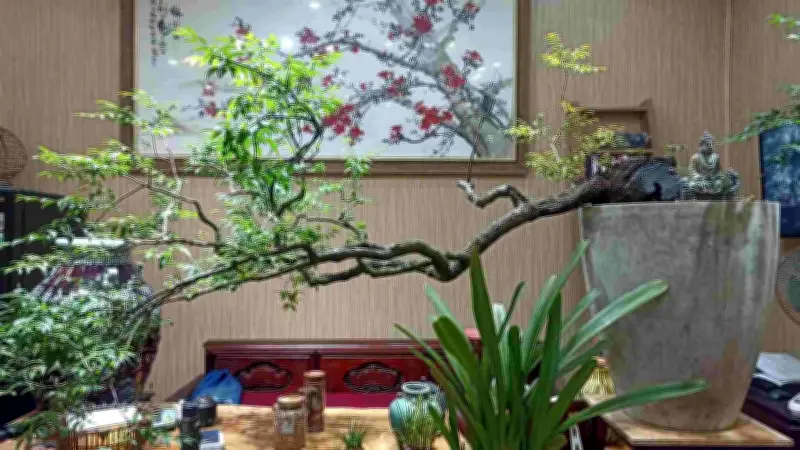 Xử lý nghiêm hành vi mua bán, vận chuyển trái phép cây mủi hồng từ rừng tự nhiên