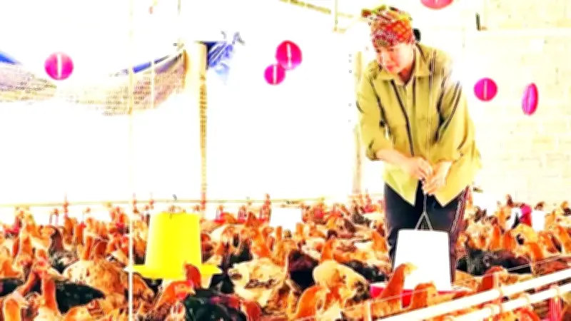 Xã Yên Minh phát triển du lịch nông nghiệp, tạo sinh kế bền vững cho người dân