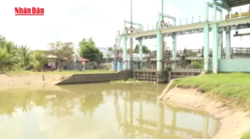 Xâm nhập mặn Đồng bằng sông Cửu Long: Cảnh báo cấp 1 và giải pháp ứng phó