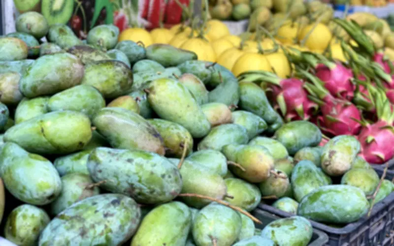 Xoài Việt bán đầy chợ giá chỉ hơn chục nghìn đồng/kg, tiểu thương tiêu thụ hàng tạ mỗi ngày