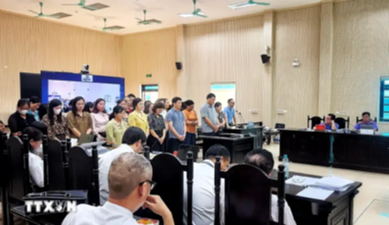 Xét xử vụ án đưa nhận hối lộ trong cung cấp thực phẩm cho nhiều trường mầm non