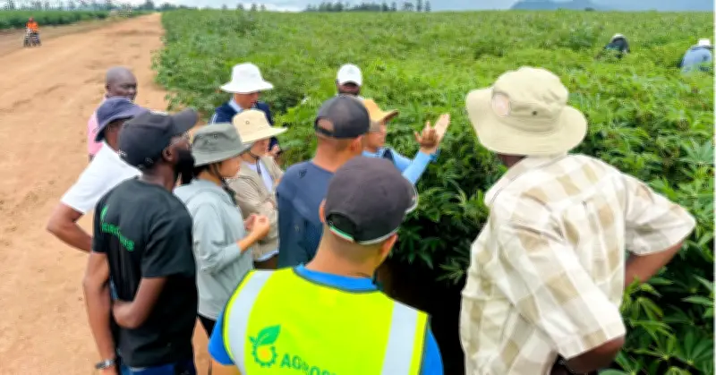 Xuân Thiện Group Làm Chủ Lô Dầu Khí KON 9 Tại Angola, Khẳng Định Vị Thế Quốc Tế