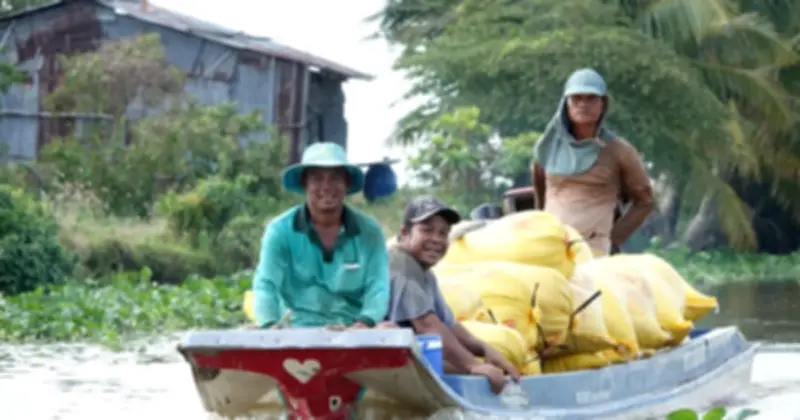 Xuất khẩu gạo Việt Nam duy trì 1 triệu tấn tháng 3, Trung Quốc tăng mua mạnh