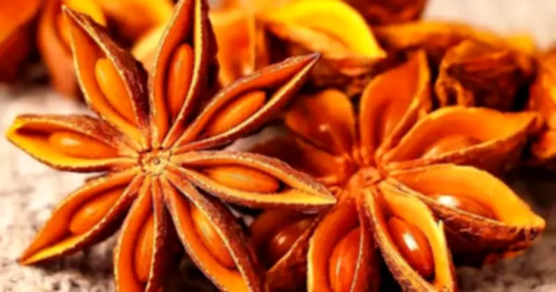 Xuất khẩu hoa hồi Việt Nam tăng mạnh trong tháng 3/2026, Ấn Độ vẫn là thị trường chính