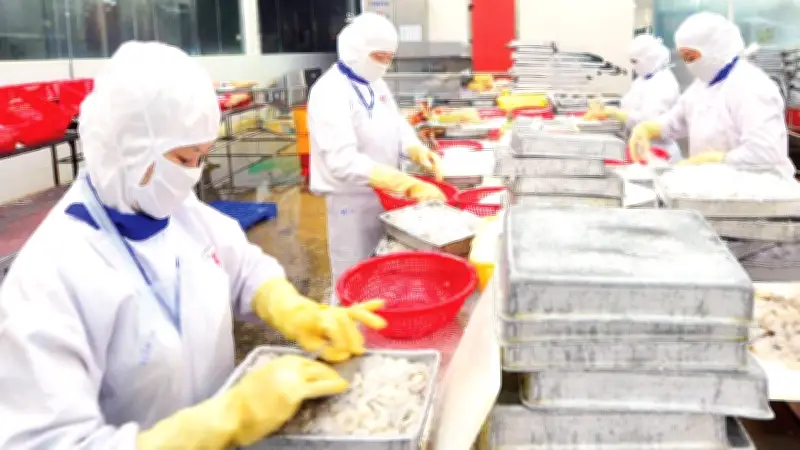 Xuất khẩu nông lâm thủy sản sang Mỹ giảm mạnh: Thách thức từ rào cản kỹ thuật và thuế quan