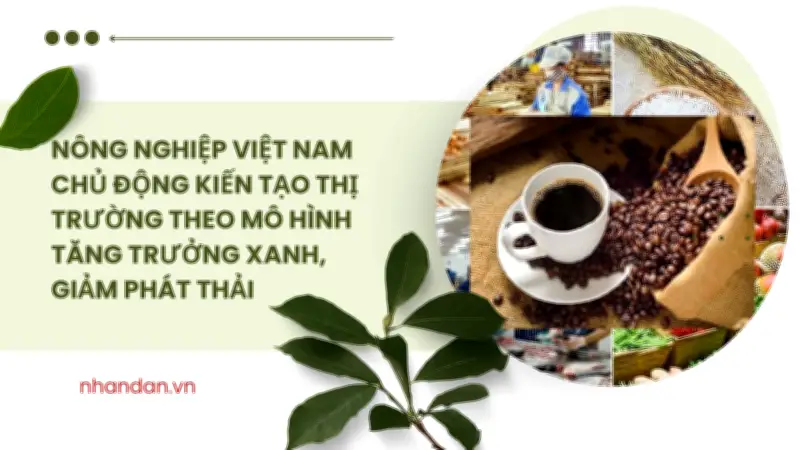 Xuất khẩu nông lâm thủy sản đạt 70,09 tỷ USD năm 2025: Thành tựu lớn nhưng thách thức về thương hiệu vẫn còn