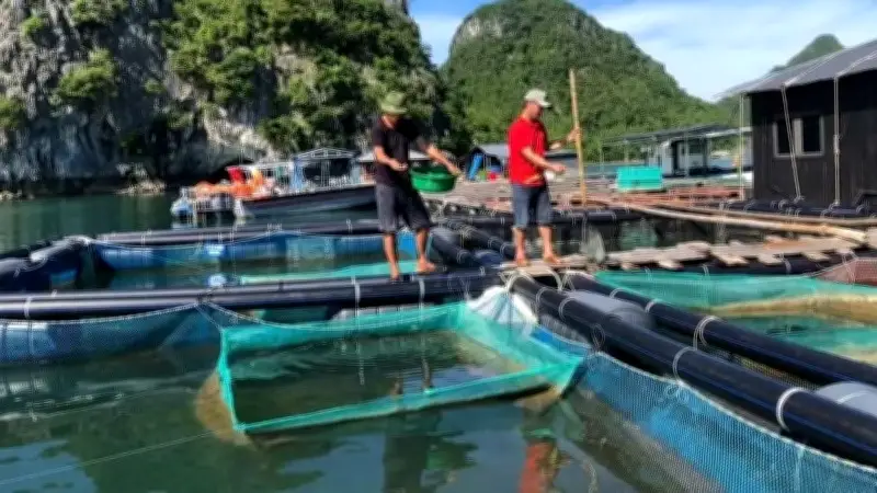 Xuất khẩu thủy sản tăng mạnh, hệ thống quan trắc môi trường đóng vai trò then chốt