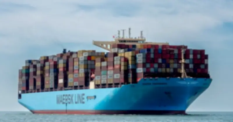 Xuất khẩu tôm Việt Nam quý 1 đạt hơn 1 tỷ USD, tôm hùm dẫn đầu