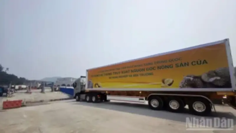 Xuất khẩu Việt Nam vượt thách thức, ghi nhận tăng trưởng tích cực quý I/2026