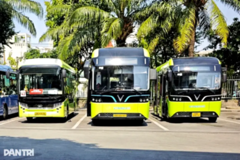 Đề Xuất Miễn Phí Xe Buýt Tại TP.HCM: Giải Pháp Kích Cầu Giao Thông Công Cộng