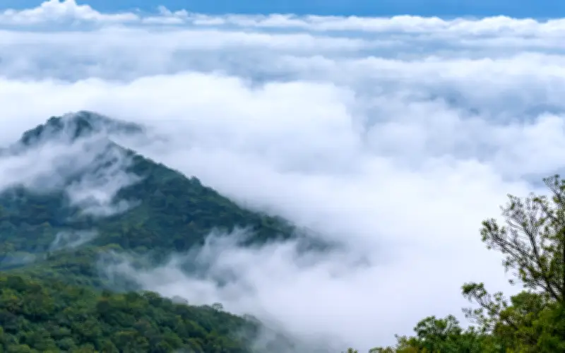 Đây mới là địa điểm lý tưởng hấp dẫn độc đáo trong những ngày nghỉ cực chill