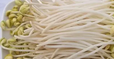 4 loại rau thường bị 'tắm hóa chất' cần cảnh giác khi mua