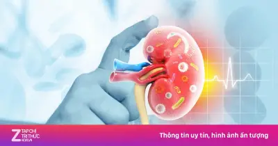 5 cách tự nhiên bảo vệ thận, tránh suy thận trong mùa nắng nóng