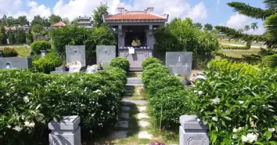 5 Loại Cây Kiêng Kỵ Trồng Trước Mộ Theo Quan Niệm Dân Gian Và Phong Thủy