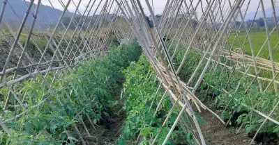 Đa dạng hóa truyền thông giúp tháo gỡ điểm nghẽn tư duy tại Tây Sơn