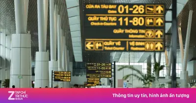 ACV Nghiên Cứu Giảm Giá Dịch Vụ Hàng Không Để Hỗ Trợ Hãng Bay Trước Áp Lực Chi Phí