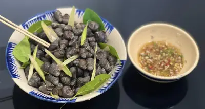 Bí quyết chọn ốc tươi ngon và luộc ốc chuẩn vị, không bị nhiều con