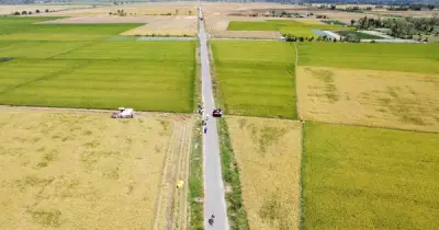 Bí quyết gạo ST25 3 lần vô địch: Tín hiệu từ loài trùn và quy trình vi sinh